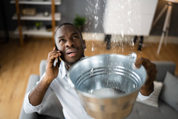 Professional Water damage restoration in Holtville, CA