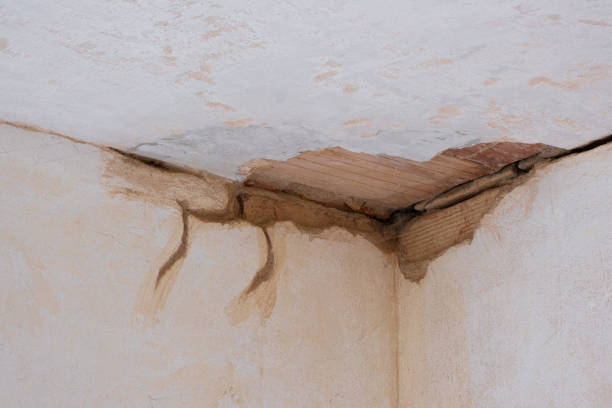 Best Flood damage cleanup  in Holtville, CA
