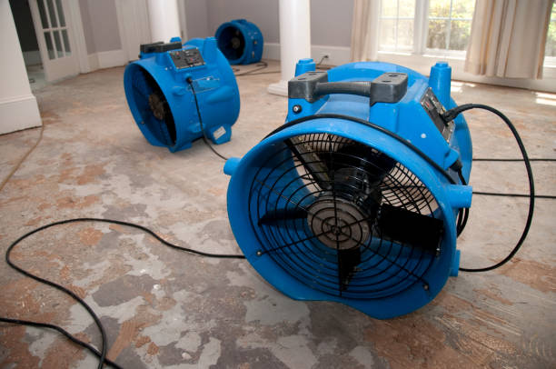 Best Professional water damage repair  in Holtville, CA