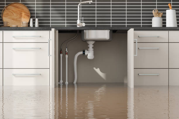 Best Emergency water damage restoration  in Holtville, CA