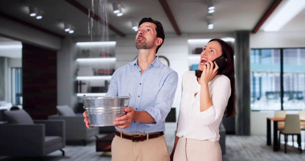 Best Commercial water damage restoration  in Holtville, CA