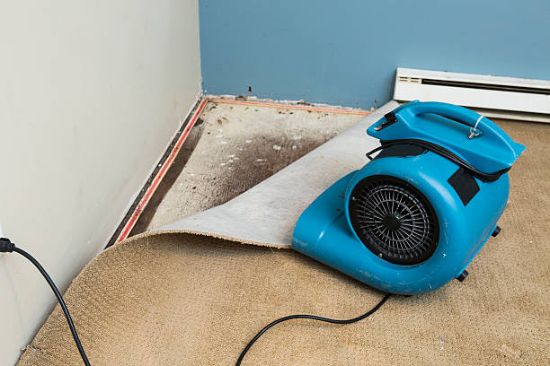 Best Residential water damage restoration  in Holtville, CA